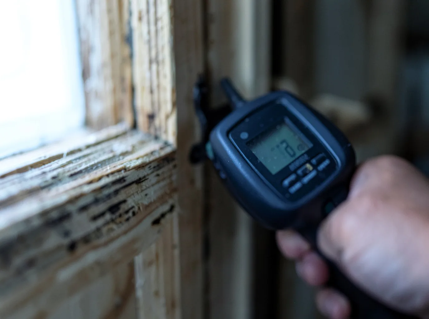 Moisture Inspection And Documentation in Lacona, IA